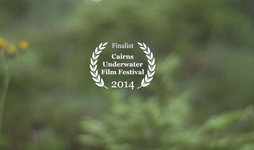 behind the mask Chairns Film Festival
